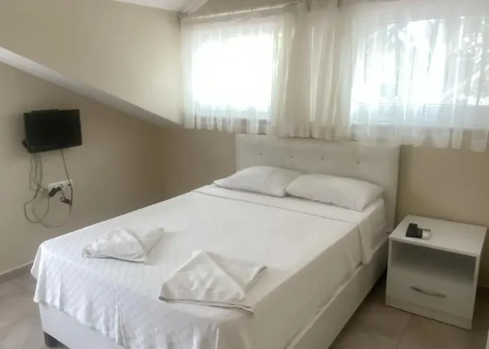 Hotell Dalyan Vira *